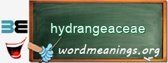 WordMeaning blackboard for hydrangeaceae